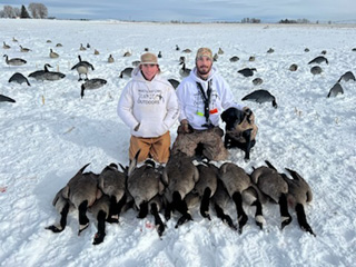 Several great days hunting the fields limits of geese