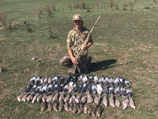 Found a good number of doves this past season dove hunting