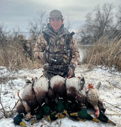 Limited on mallard ducks limits of mallard ducks