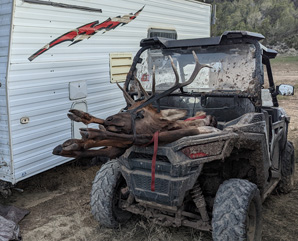 Finally back to camp Finally back to camp with both animals