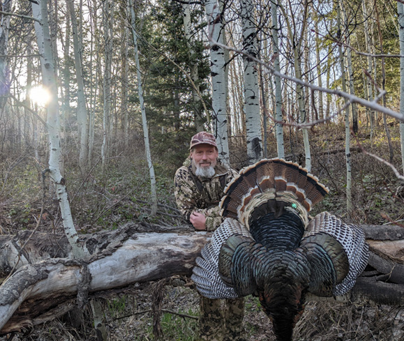 Apparently I needed a cameraman to capture the entire bird huge Rio Grande tom turkey