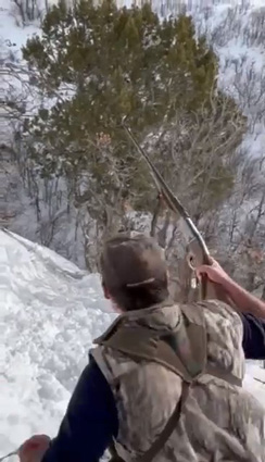 Trying to locate cougar without slipping locating treed cougar