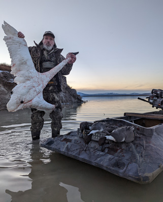 Decoys worked well for swans and ducks i went hunting tundra swan and ducks