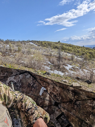Maybe turkeys across ravine didn't like my decoys turkey hunting hen decoys