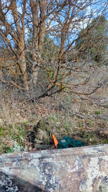 Tom came in right behind that oak tree i went hunting turkeys youth hunt