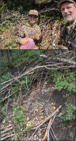 Site #2 w/marshmallows & loaded, then torn up! i went hunting baiting bear site