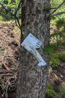 Bear tore up bait registration bear registration placard