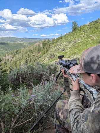 Daxton's view of bait site across the ravine/canyon shooting bear across canyon