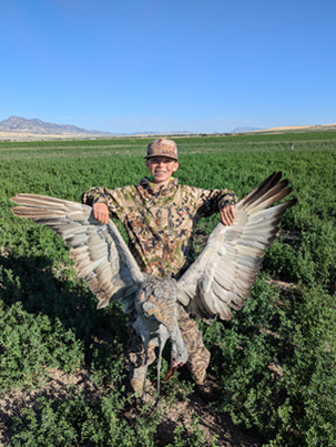 7+ ft. wingspan! sandhill crane hunting