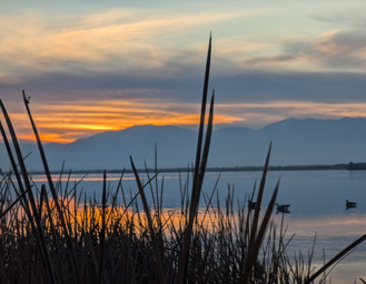 Sunset over the decoys swan hunt sunset over decoys
