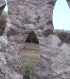 Spotting approaching turkeys through blind merriams spring turkey i went hunting