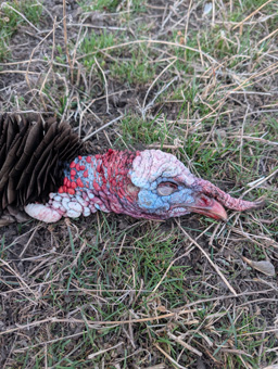 Brilliant red, white and blue, with long snood colorful turkey head