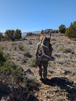 Next shed was definitely bigger elk shed antler