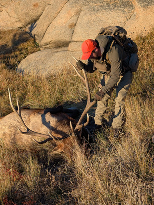 Jordan examining broken off antler tine, but we found it! i went hunting 6 point bull elk broken antler tine