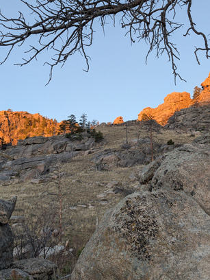 Hillside where bull was feeding way up the mountain i went hunting Wyoming elk hunt
