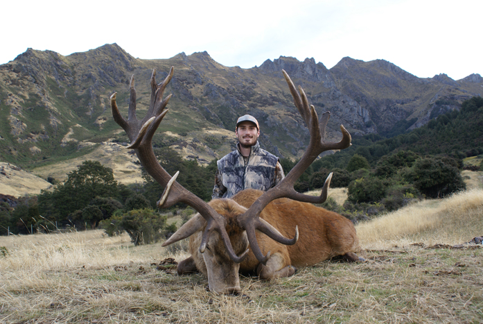 Backed out and came back in the afternoon and found him again...look at that crown up top!