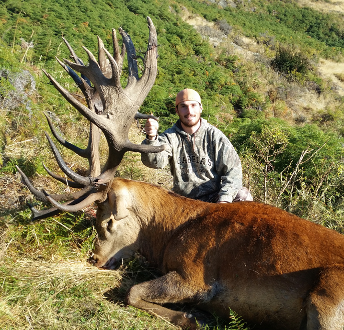 As if his 1st one wasn't big enough... ☺ Scored 413! (273 yrds) red stag huge crown new zealand