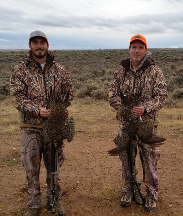 With a couple of mature birds i went hunting ducks, iwenthunting