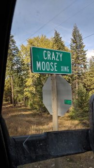 Sign in Libby proves that moose should be everywhere, ha Moose hunting Libby Montana