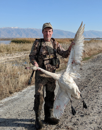 And with mine...shot this the previous week, right in the decoys tundra swan in the marsh