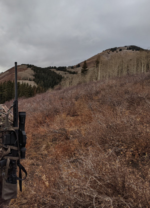 Almost to the top, looking for that high country buck looking for high country bucks