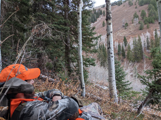 Spotted a few deer, looking for a big one spotting for deer across the hillside