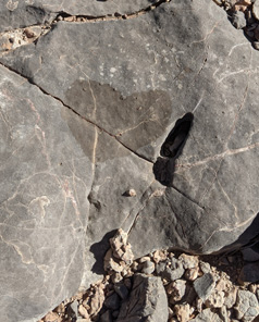 One of those unusual things you see while hiking unusual heart on rock while hiking