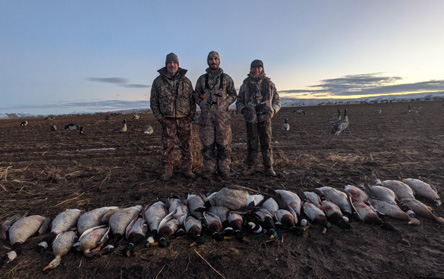 Not much of a hide in dirt field, brushing-in blinds worked hunting geese in dirt field