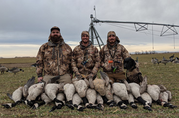 Hid layout blinds in brush at base of pivot, limited on geese i went hunting goose hunting next to pivot
