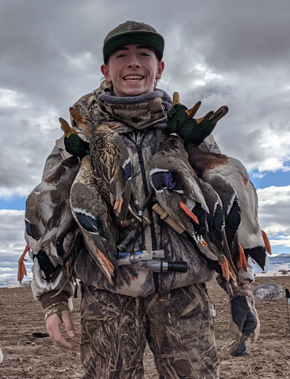 Decent number of mallards hit our decoy spread limit of mallard ducks, i went hunting ducks