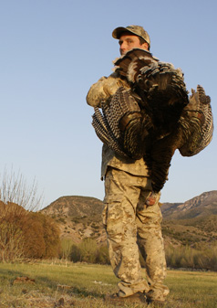 Southern Utah Merriam's turkey southern utah merriam's turkey, long beard, tom, tail fan