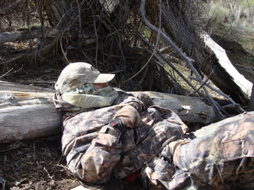 Are we hunting or sleeping? Hunting merriam's turkey, spring turkey hunt Utah